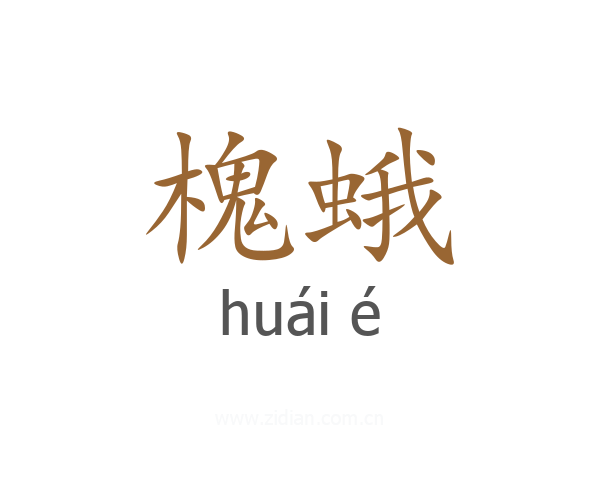 槐蛾