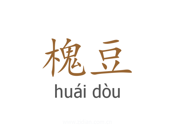 槐豆