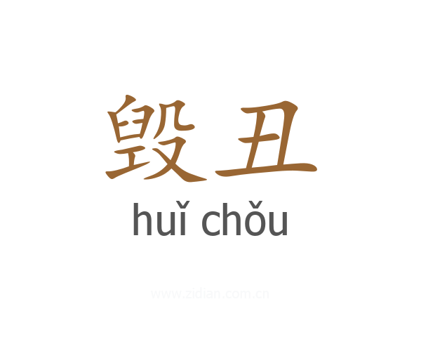 毁丑