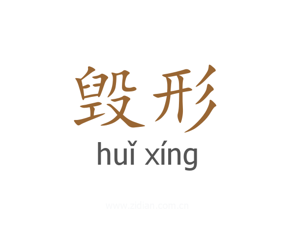 毁形