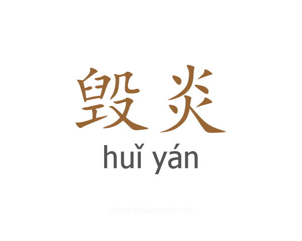 毁炎