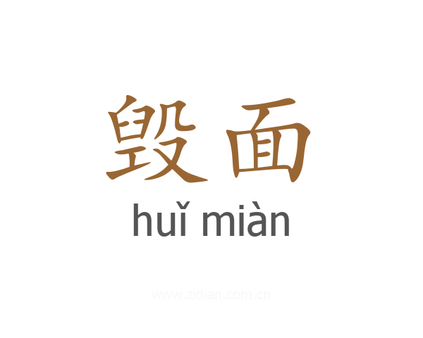 毁面