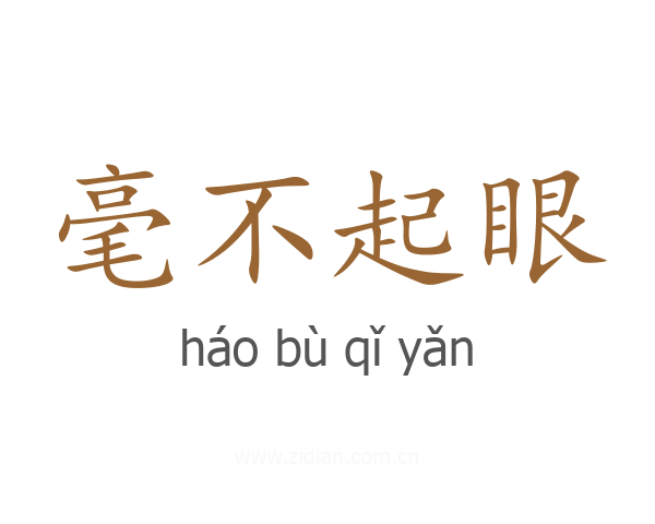 毫不起眼