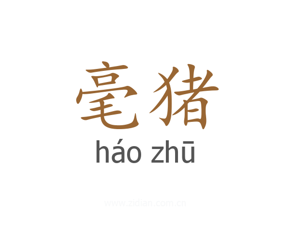 毫猪