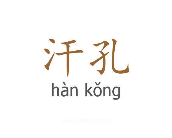 汗孔