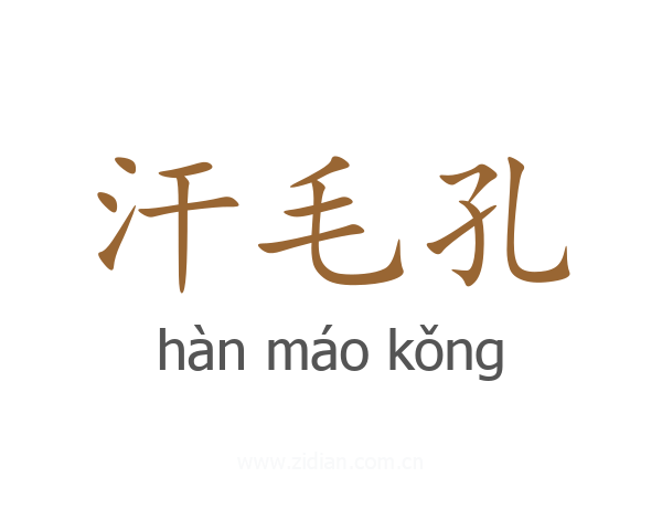 汗毛孔