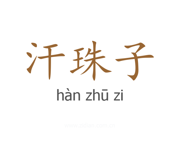 汗珠子