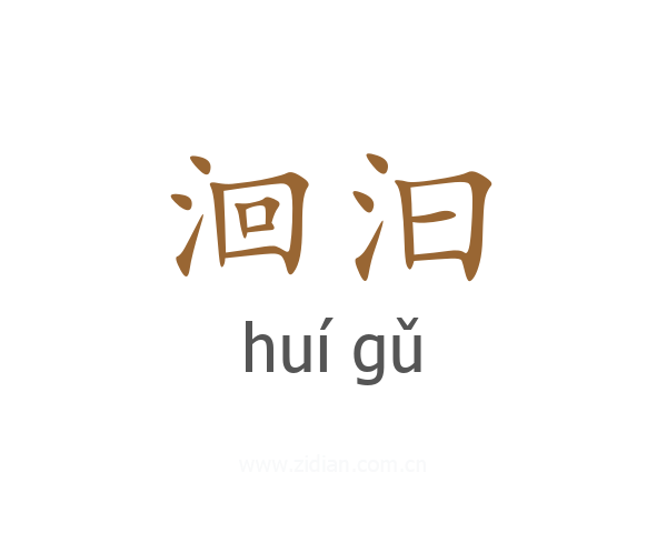 洄汩