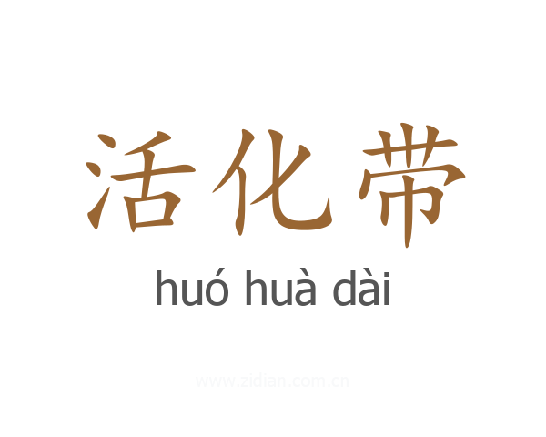 活化带