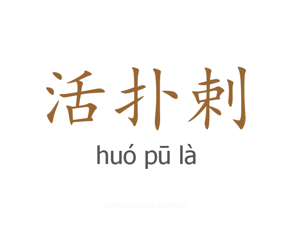 活扑剌