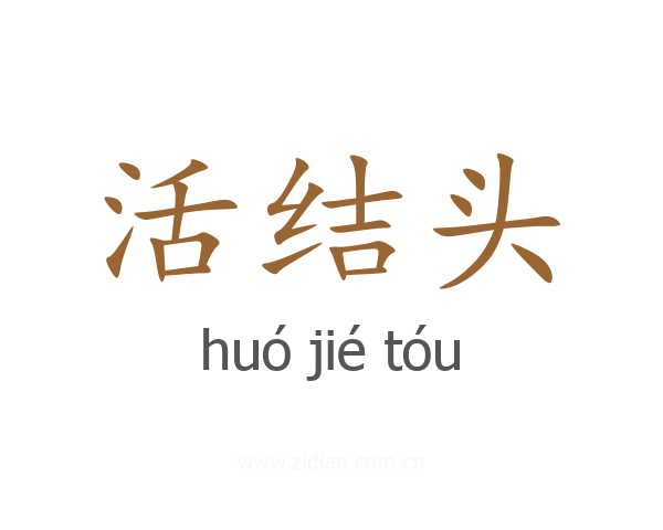 活结头