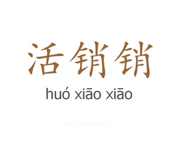 活销销