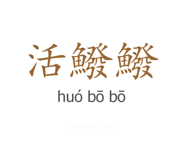 活鱍鱍