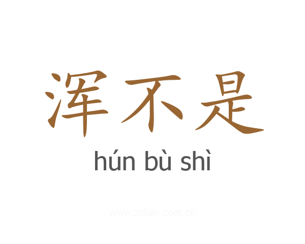 浑不是