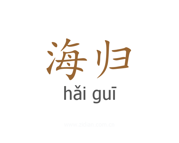 海归