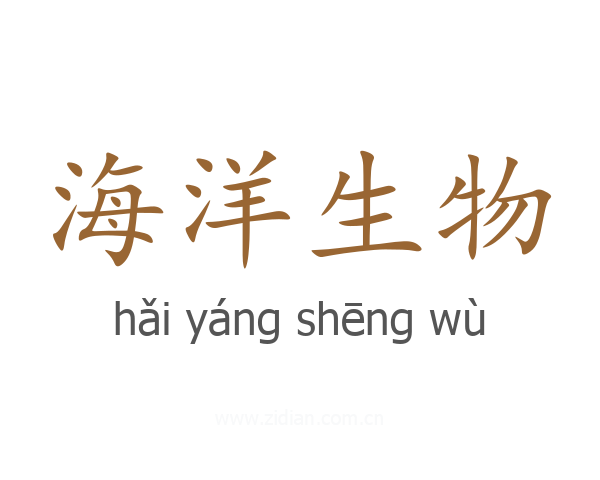海洋生物