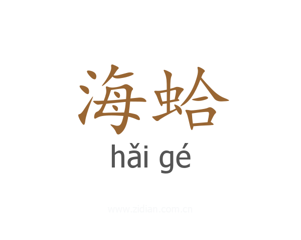 海蛤