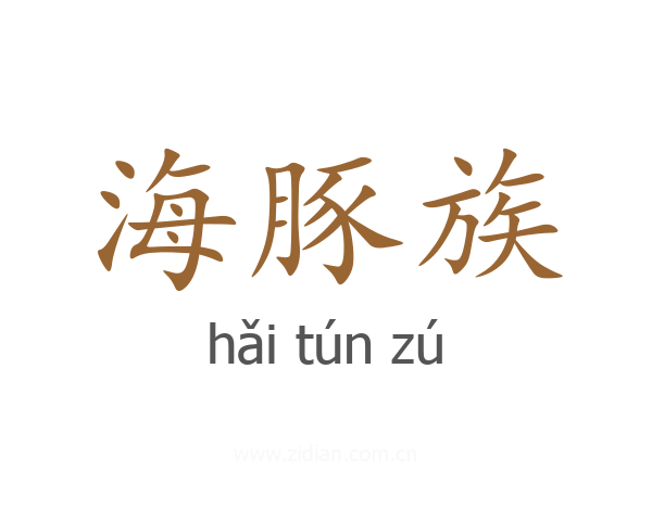 海豚族