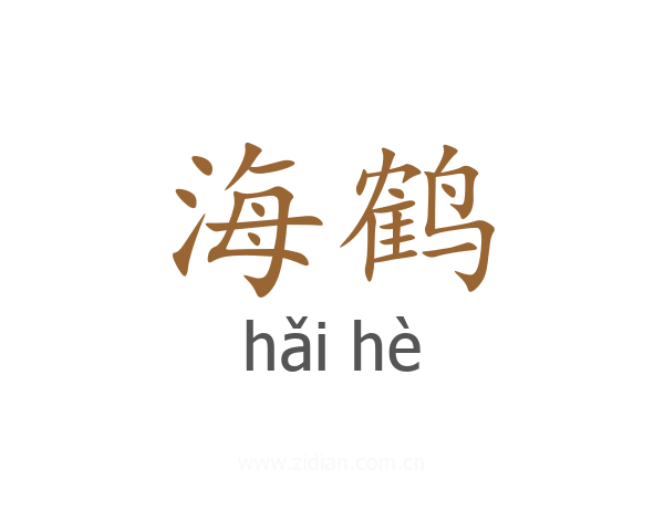 海鹤