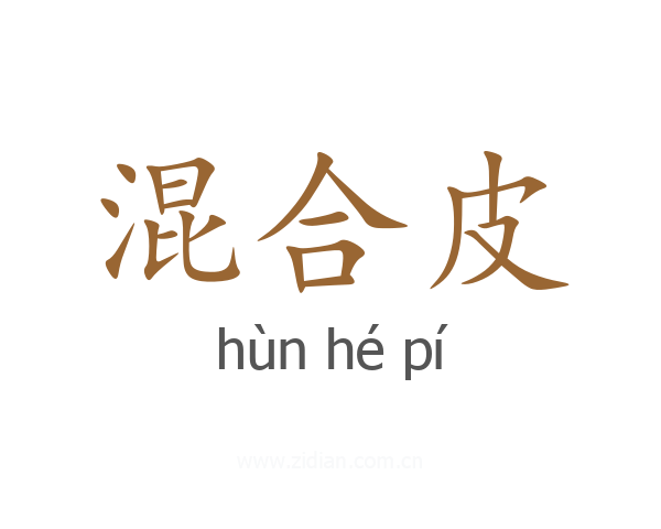 混合皮