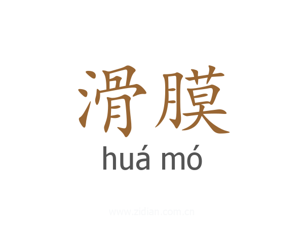 滑膜