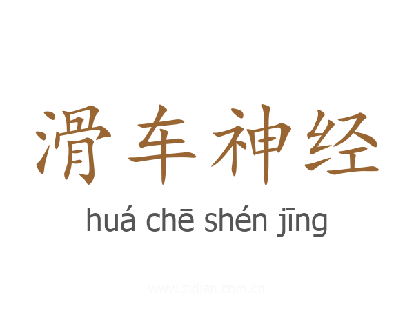 滑车神经