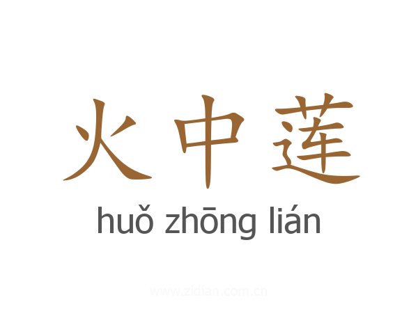 火中莲