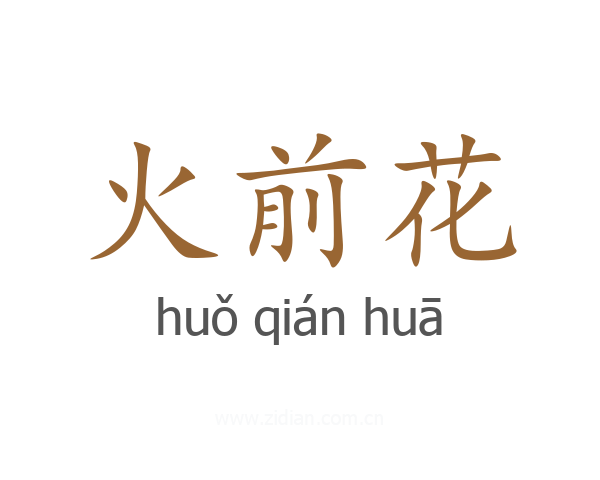 火前花