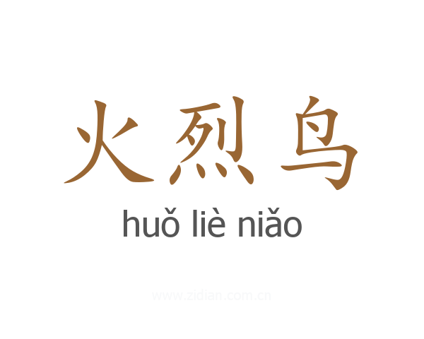 火烈鸟