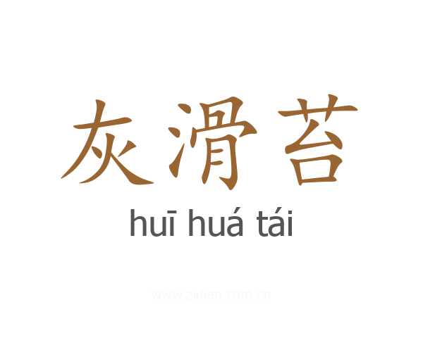 灰滑苔