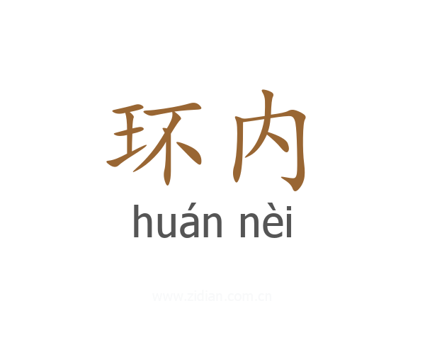 环内