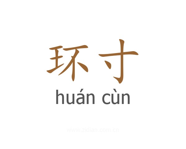 环寸