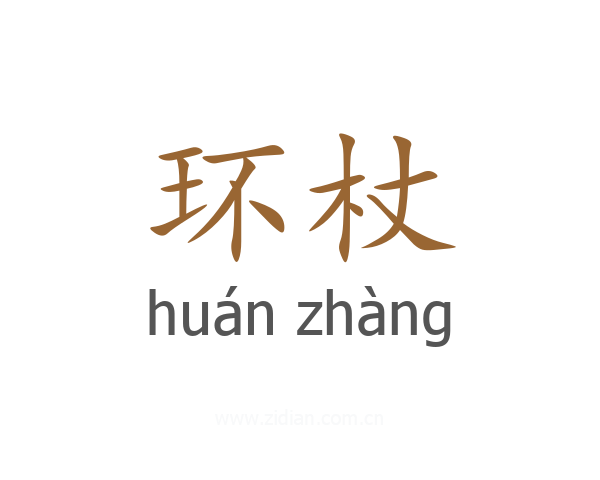 环杖