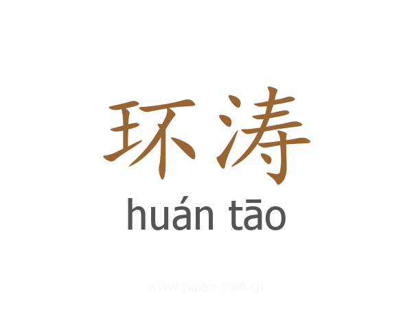 环涛