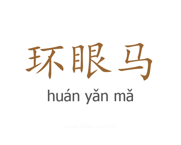 环眼马