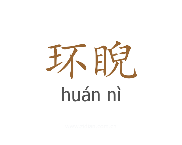 环睨