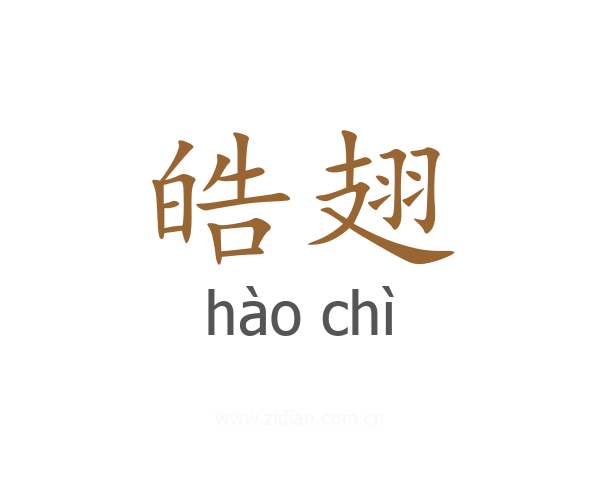 皓翅