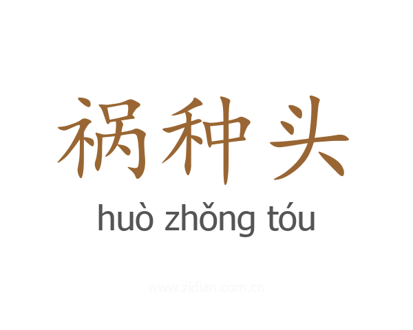 祸种头