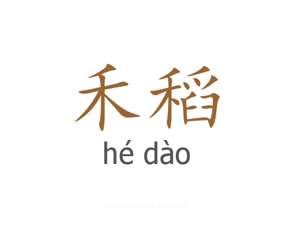 禾稻