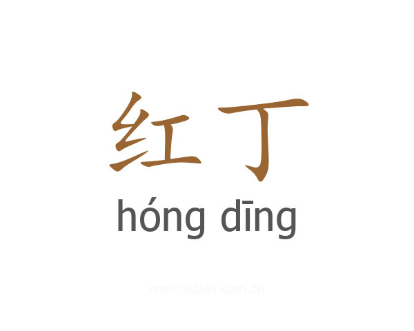 红丁