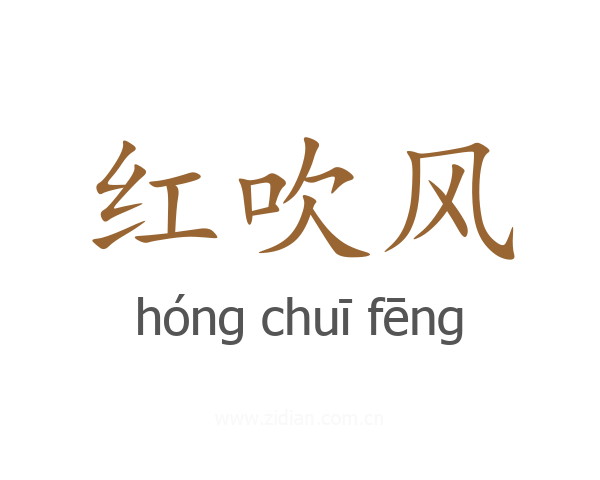 红吹风