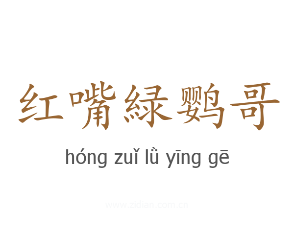 红嘴緑鹦哥