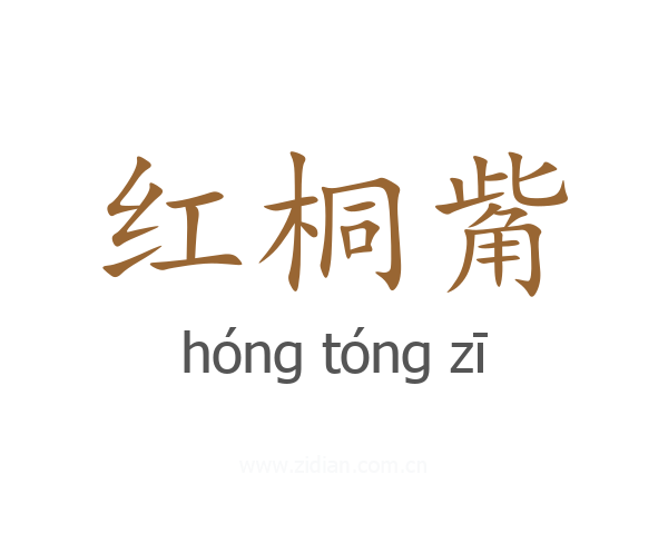 红桐觜