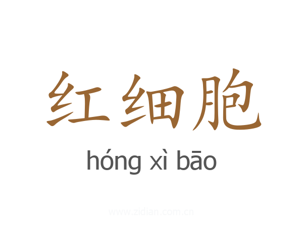 红细胞