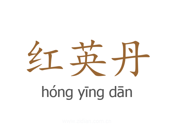 红英丹