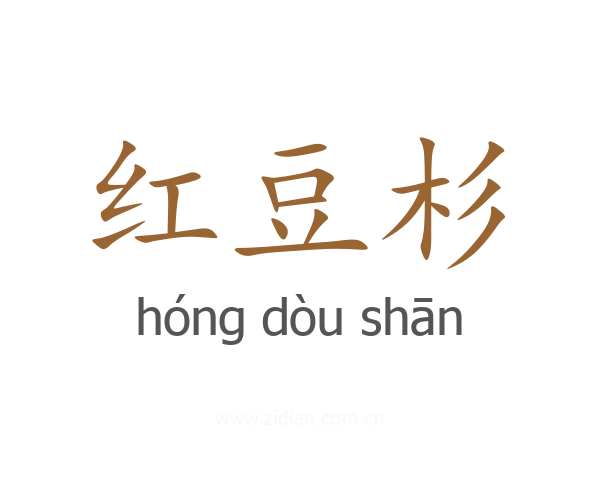 红豆杉