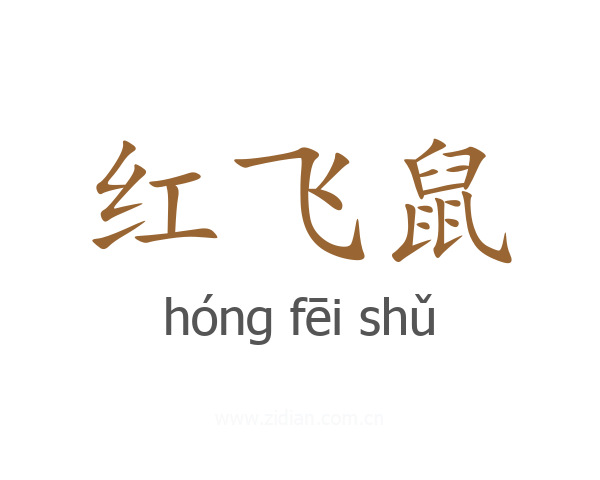 红飞鼠
