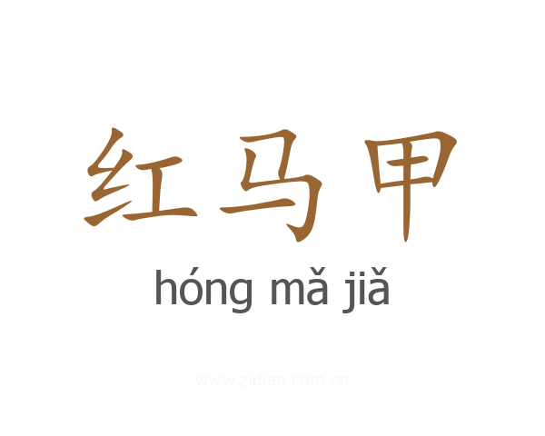 红马甲