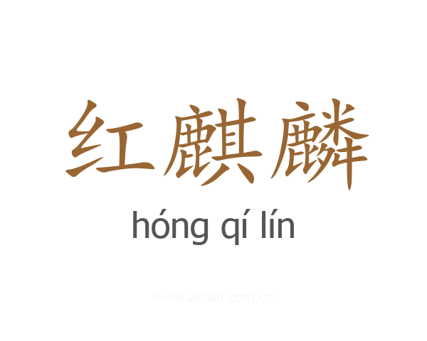 红麒麟