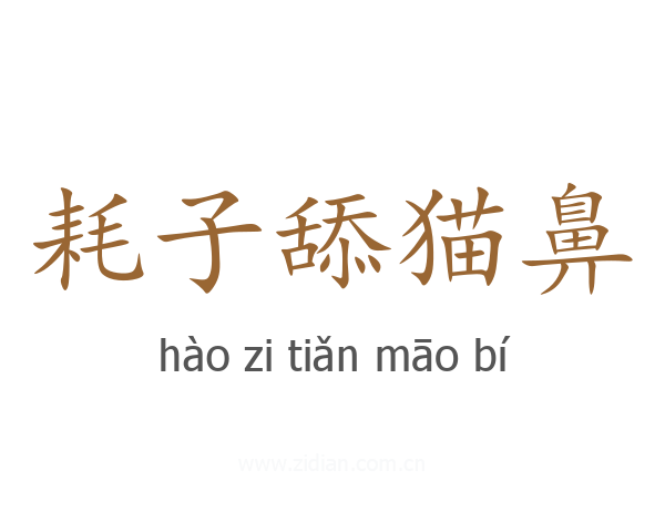 耗子舔猫鼻